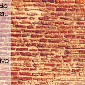 Aprendiendo de la tierra 11