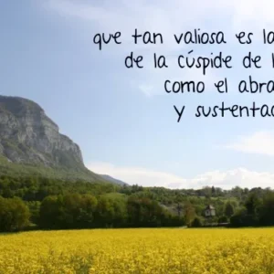 Aprendiendo de la tierra 12