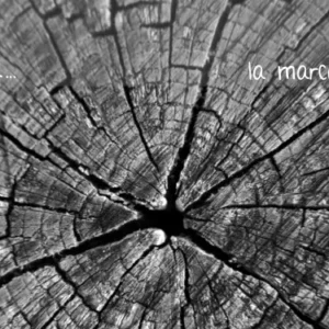 Aprendiendo de la tierra 14