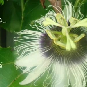 Aprendiendo de la tierra 2