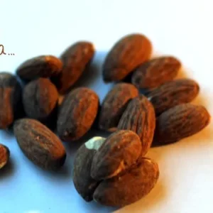 Aprendiendo de la tierra 3