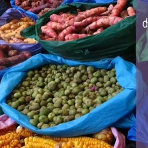 Aprendiendo de la tierra 4