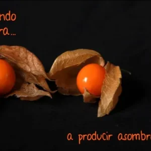 Aprendiendo de la tierra 5