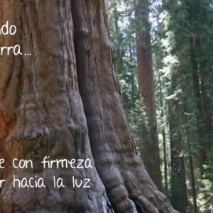 Aprendiendo de la tierra 6