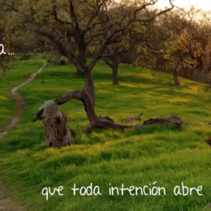 Aprendiendo de la tierra 7