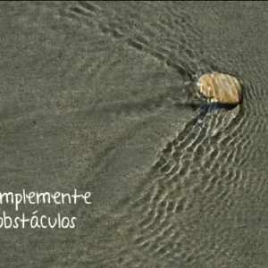 Aprendiendo del agua 2