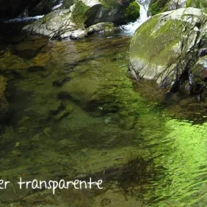 Aprendiendo del agua 3