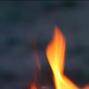 Aprendiendo del fuego 1