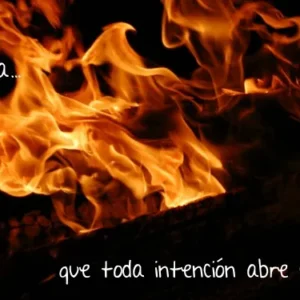 Aprendiendo del fuego 13