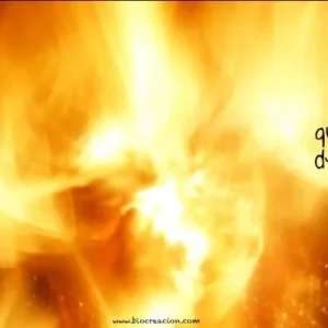 Aprendiendo del fuego 2