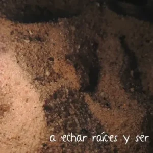 Aprendiendo del fuego 8