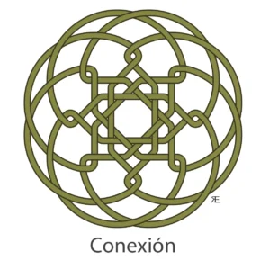 Conexion