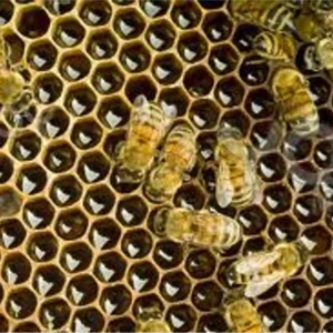 Geometrías hexagonales 5