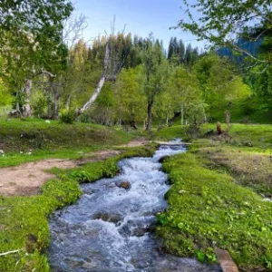 Cursos de autoayuda de Ronald Esquivel