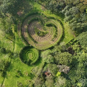 Laberinto Abundancia