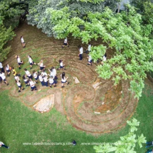 Laberinto Crecimiento