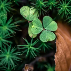 El Número 3 - Estabilidad y Creación