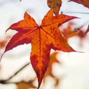 El Número 7 – Misterio y Espiritualidad